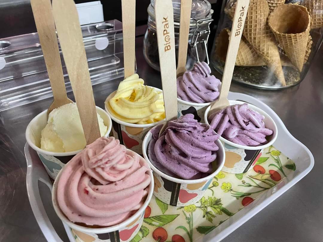 ChiChi's Ice Cream cover photo — Dessert Vans listing